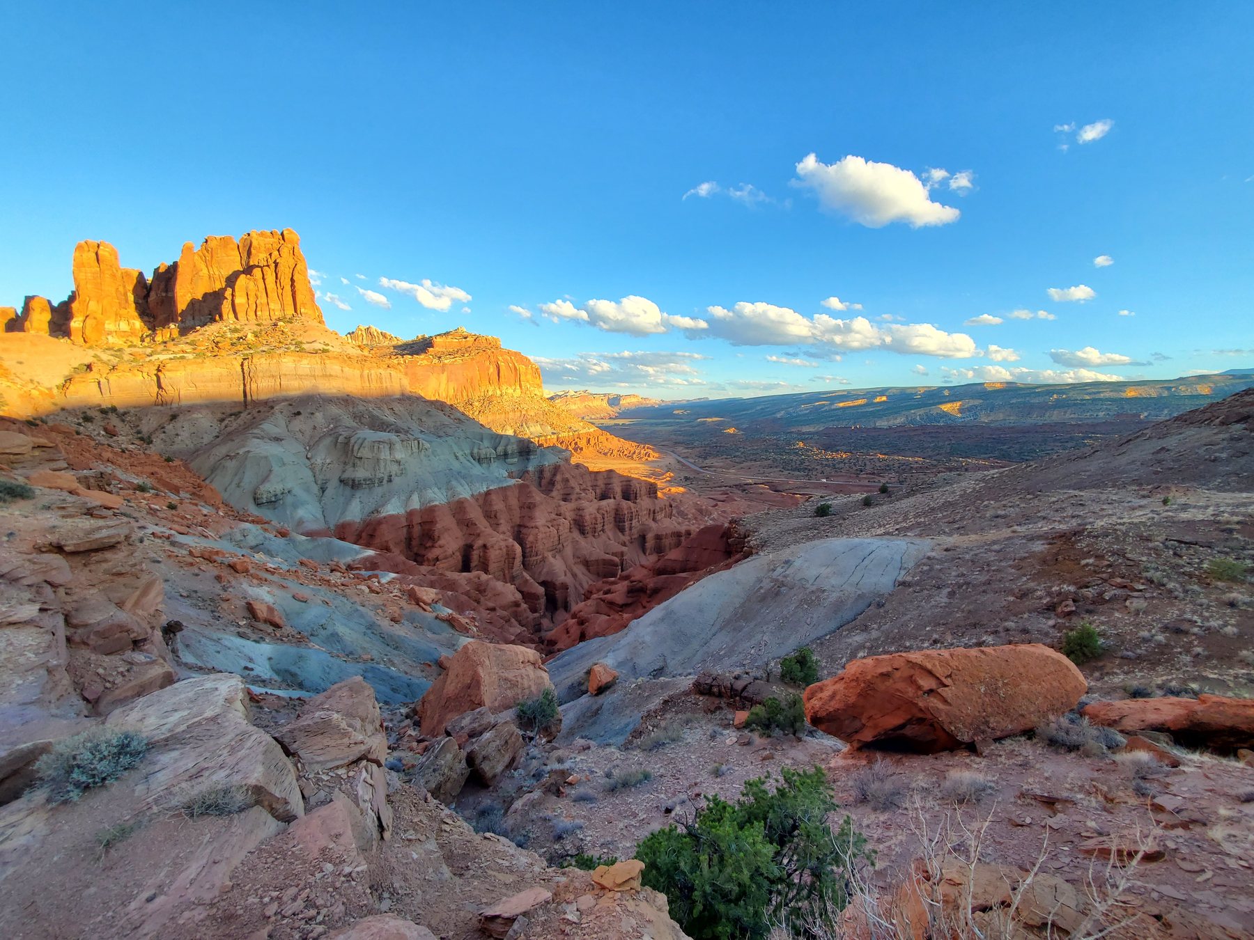 High desert grassland, juniper, and red sandstone beneath a vast blue sky
